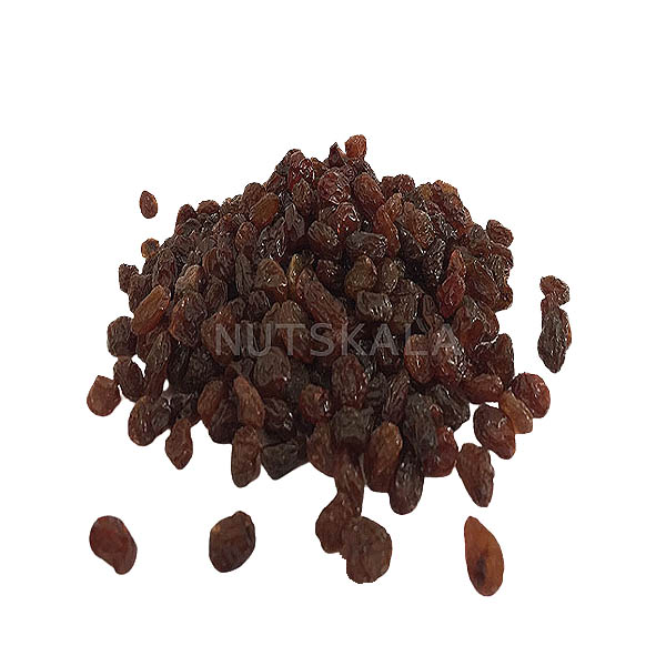 raisin wholesale price Thompson bulk market bazaar nuts dried grapes kernelo