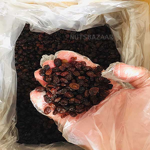 thompson raisin sun dried wholesale price bulk bazaar nuts kernelo