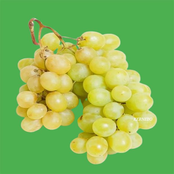 raisin kernelo supplier grapes golden nuts export wholesaler bulk price