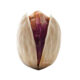 Jumbo pistachio kaleh ghochi supplier wholesale iranian nuts kernelo