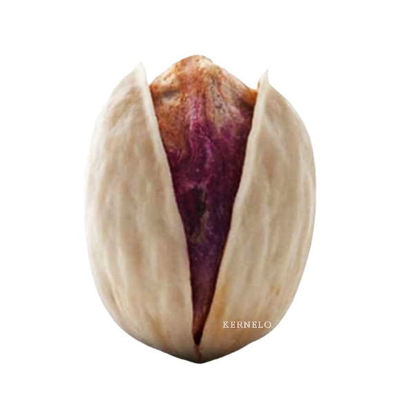 Jumbo pistachio kaleh ghochi supplier wholesale iranian nuts kernelo