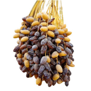 kabkab dates supplier exporter wholesale bulk price medjool degletnour 