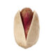 long pistachio ahmad aghaei supplier wholesale iranian nuts kernelo