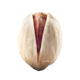 round pistachio fandoghi supplier wholesale iranian nuts kernelo