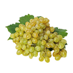 sultana grapes raisin supplier