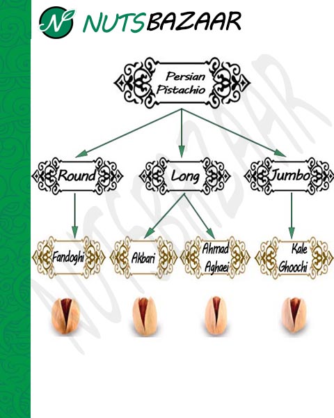 types of pistachio kernelo supplier