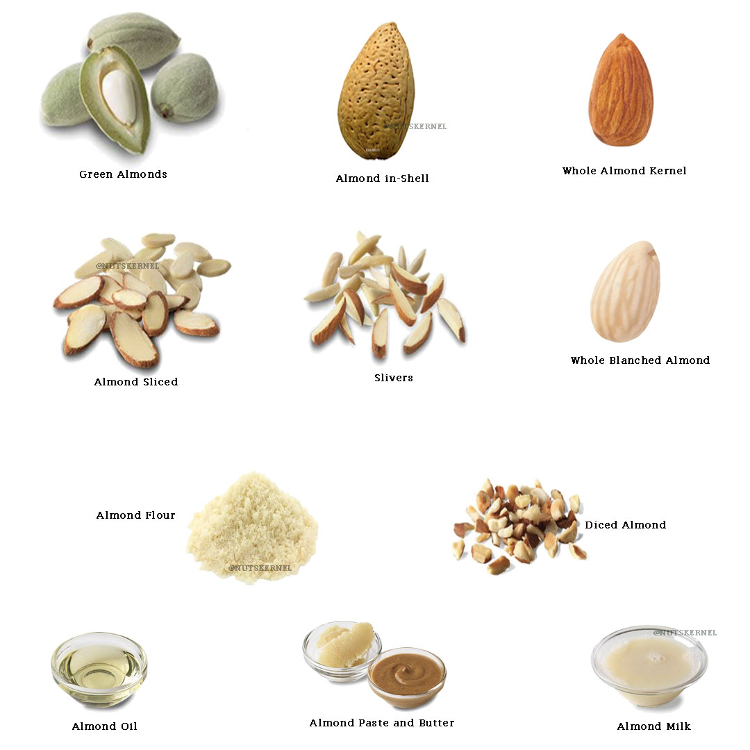 kernelo Almond Products Supplier 