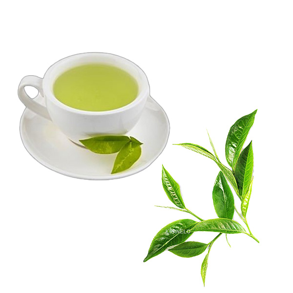 kernelo green tea wholesale supplier 