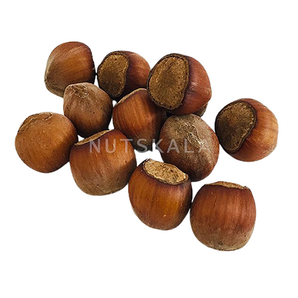 hazelnuts supplier nuts bazaar kernelo bulk wholesale price market supplier