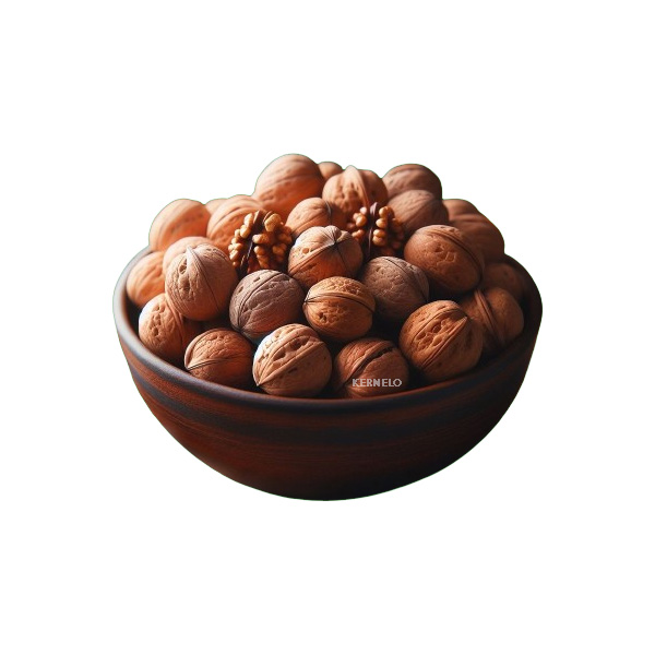 walnuts kernel supplier exporter wholesale bulk price kernelo