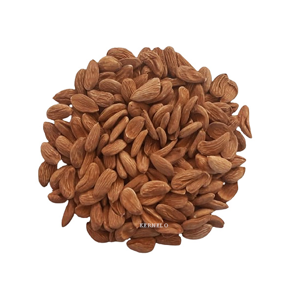almonds kernel mamra supplier exporter in bulk wholesale price in Canada USA Iran Turkey