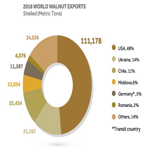 walnuts supplier exporter kernelo