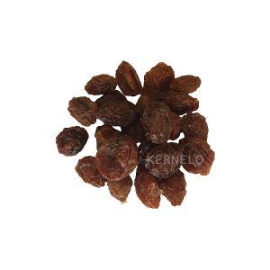 Dried Plum wholesale price Dried fruit organic natural