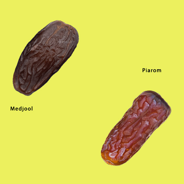 kernelo dates wholesale  medjool piarom supplier distributers canada foods 