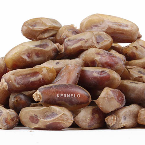 dates wholesale kernelo bul medjool ajwa piarom mazafati bazaar nuts