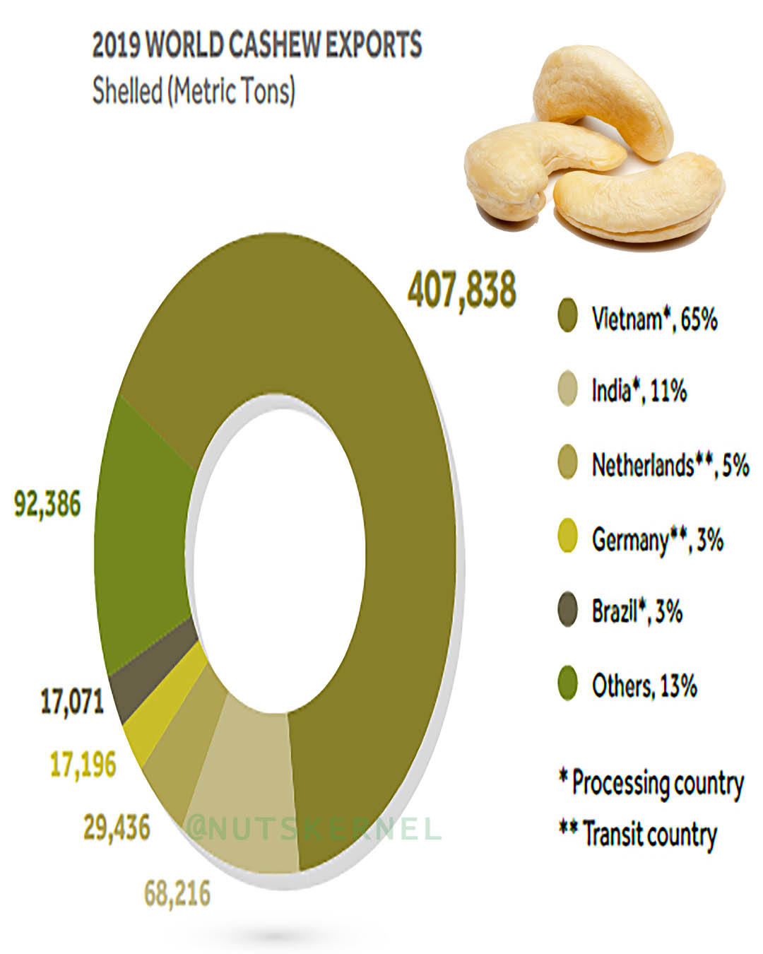 cashew top exporter supplier