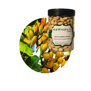 kernelo jumbo pistachio kernelo nuts bazaar nuts wholesale price