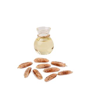 date seed oil kernelo dates products