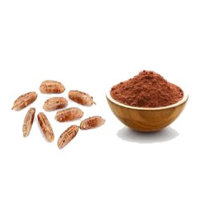 dates seed powder coffee kernelo medjool ajwa piarom