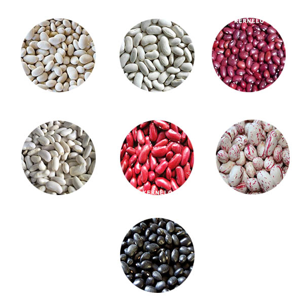 kernelo types of beans supplier canada