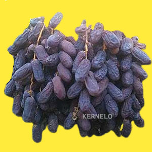 kernelo foods piarom dates medjool neglet noor