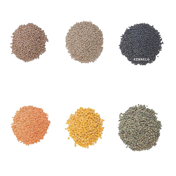 types of lentils supplier wholesale canada usa iran bulk price