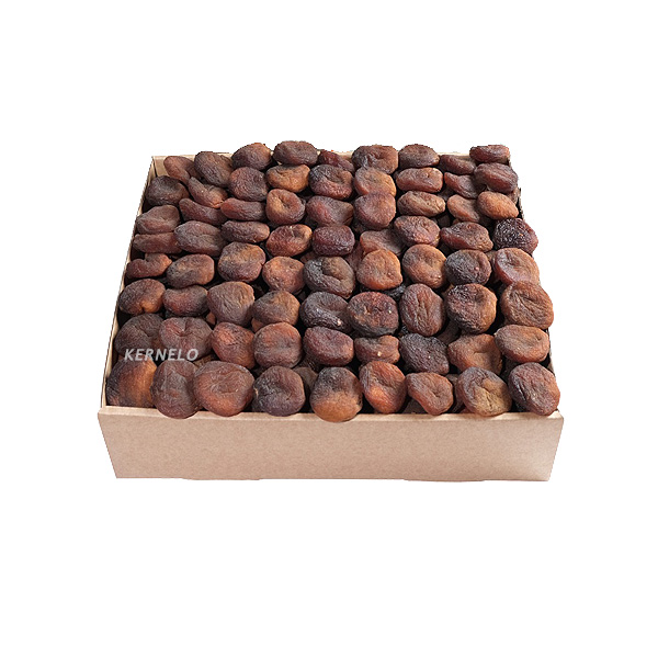 Sun Dried Apricot Kernelo Foods Dried fruits Export bulk wholesale turkey price suppliers