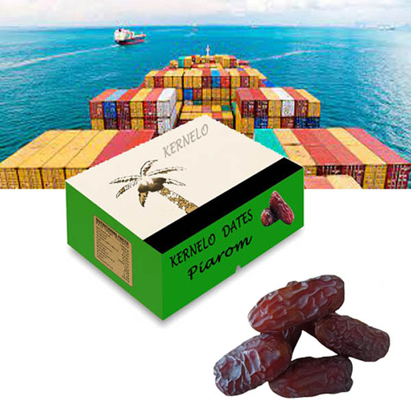 kernelo date fruits export supplier wholesale
