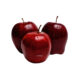 scarlet Apple Supplier kernelo wholesale bulk price canada USA
