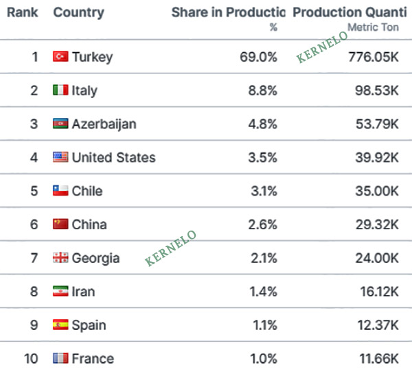 top hazelnuts supplier kernelo canada USA turkey Iran