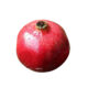 kernelo pomegranate supplier wholesale bulk price un Canada