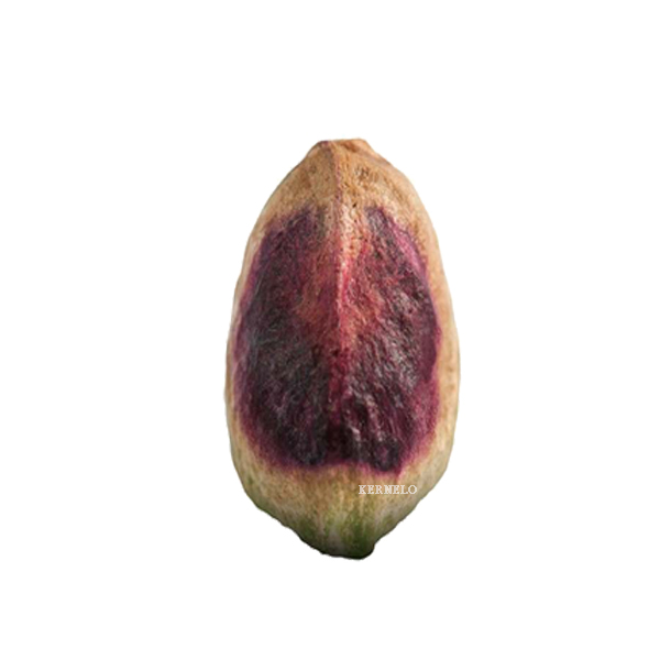 pistachio Kernel supplier wholesale iranian nuts kernelo