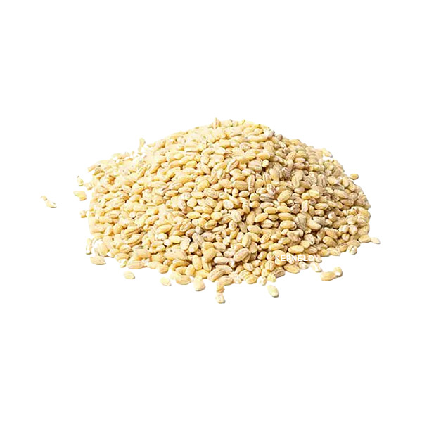 kernelo barley cereal grains supplier canada