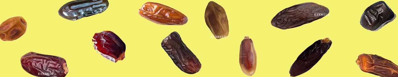 kernelo all types of dates supplier