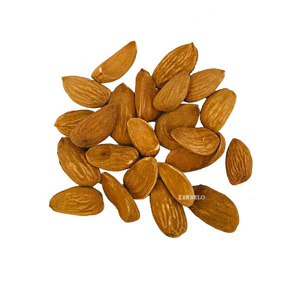 kernelo mamra almond supplier