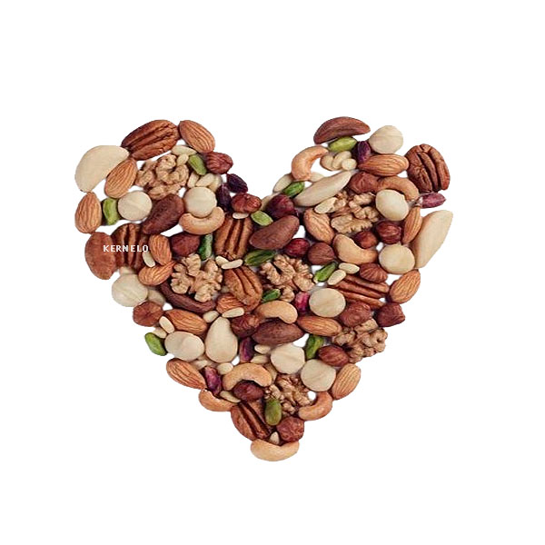 kernelo nuts wholesale supplier in USA canada Iran