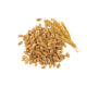 Kernelo Wheat supplier wholesale