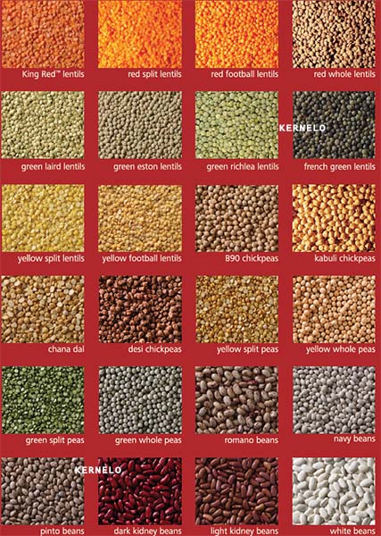 canada pulses supplier kernelo all type of pulses
