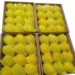 kernelo mango supplier wholesale packaging bulk