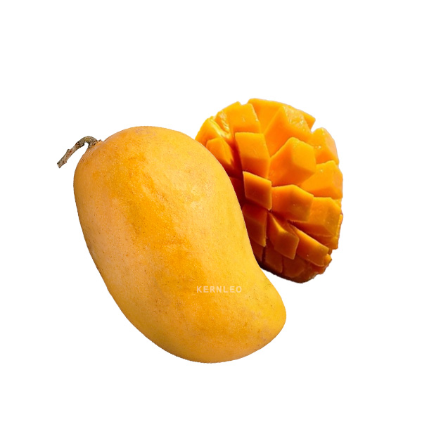 kernelo mango supplier wholesale Indian Canada USA fresh fruits bulk price